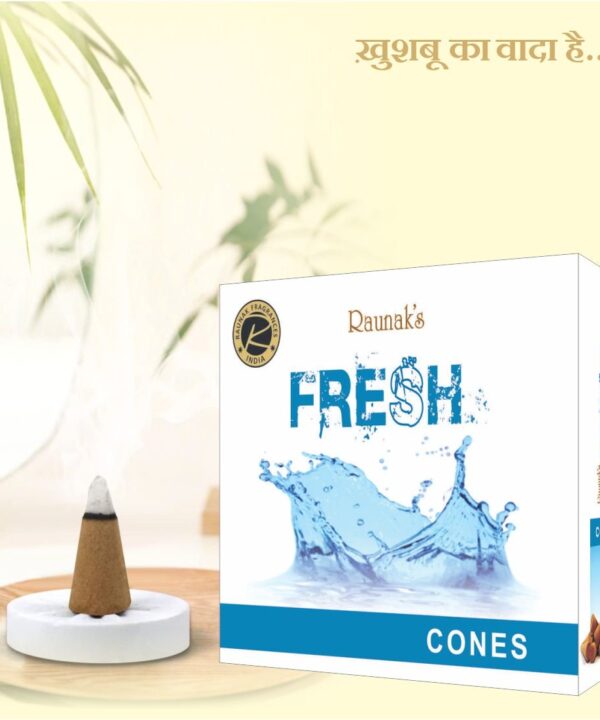Fresh Dhoop Cones Box (25 Gram)